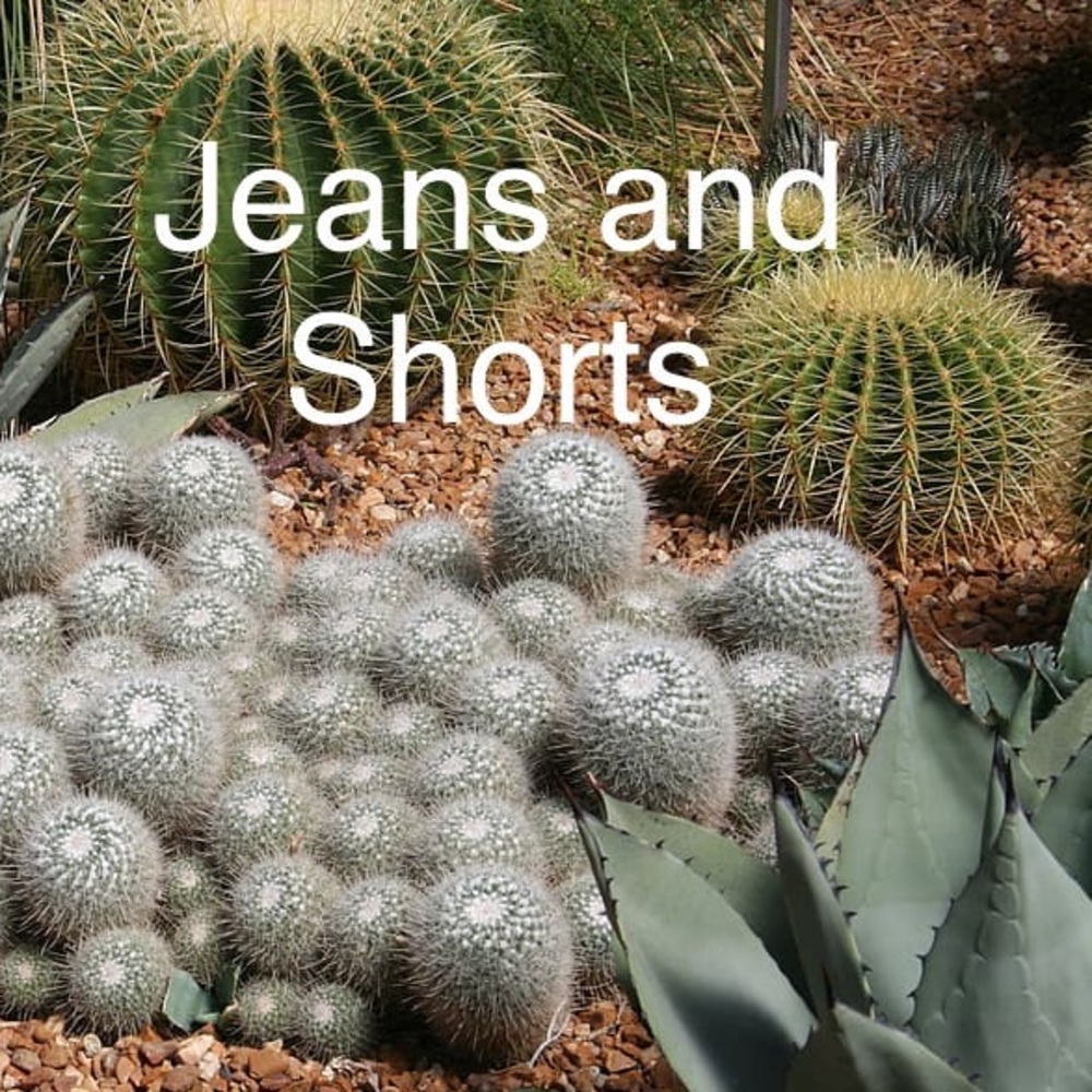 Pants!